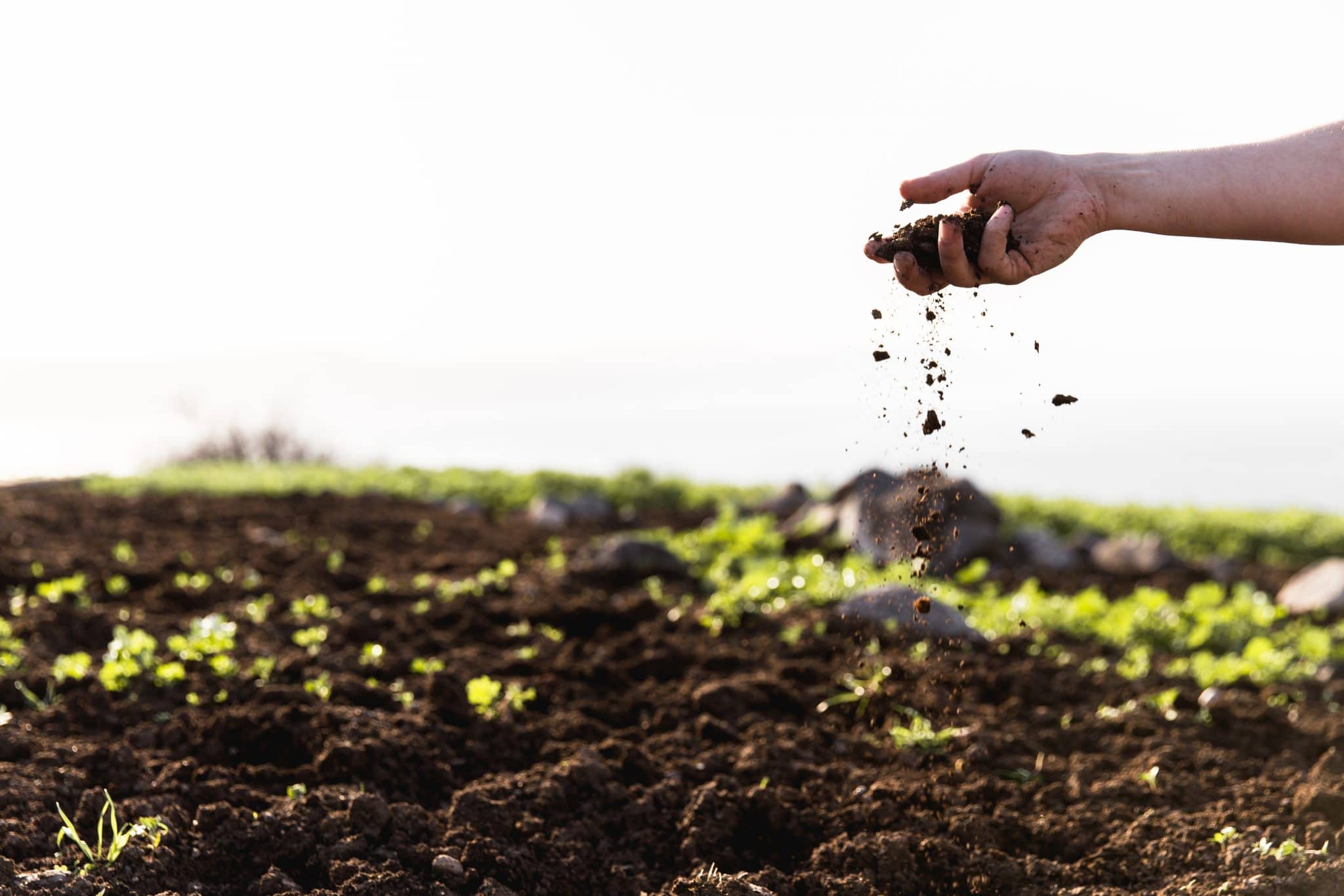 Preparing the Good Soil